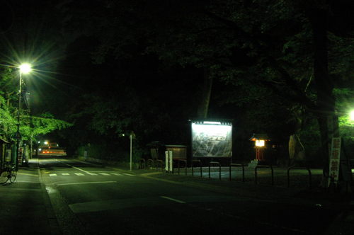 110702　下賀茂神社 (39).JPG