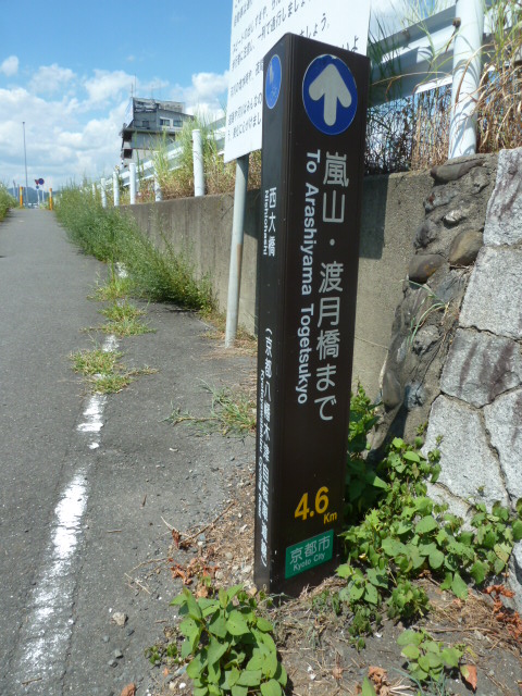 桂川サイクリングロード１４.JPG