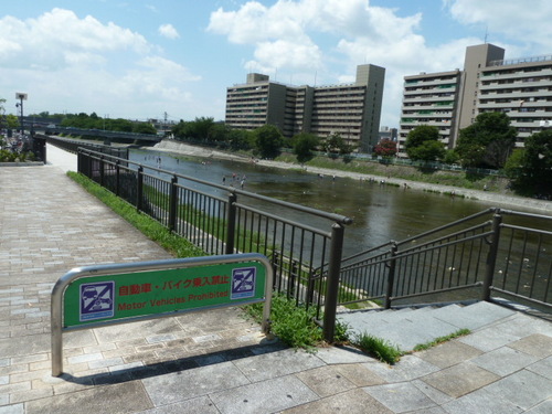 鴨川 自転車 どこまで